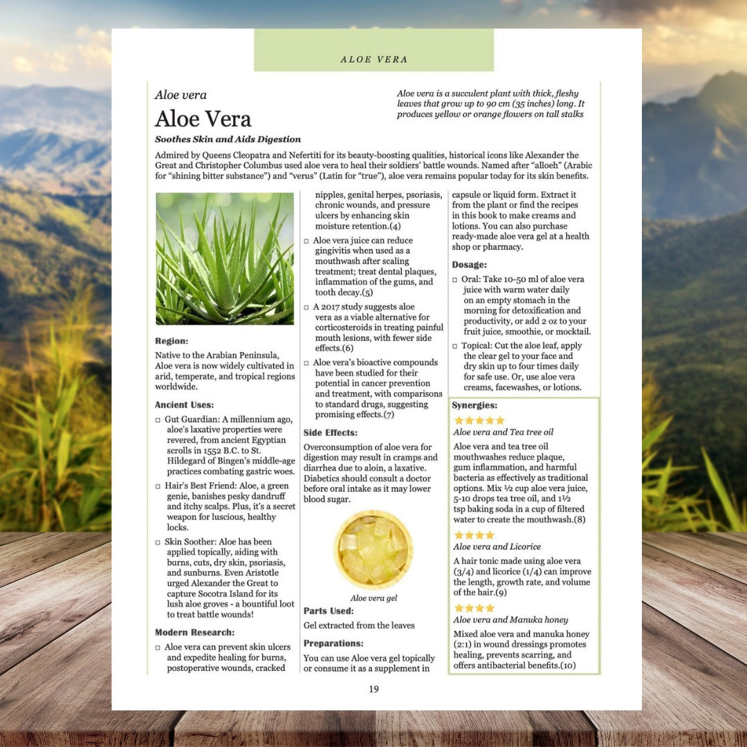 The Herbal Medicine Bible: Ancient Remedies Revived