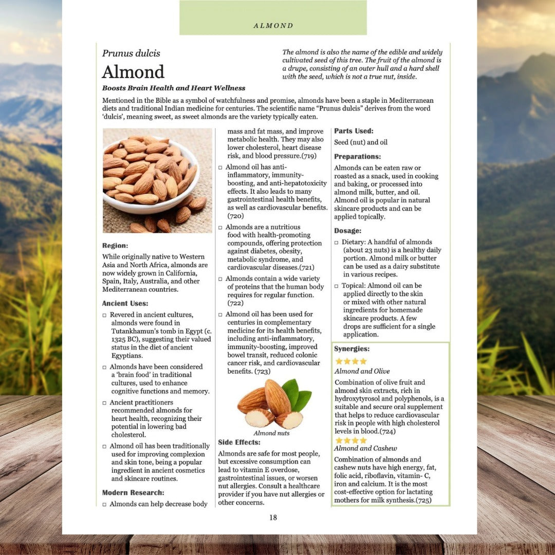 The Herbal Medicine Bible: Ancient Remedies Revived
