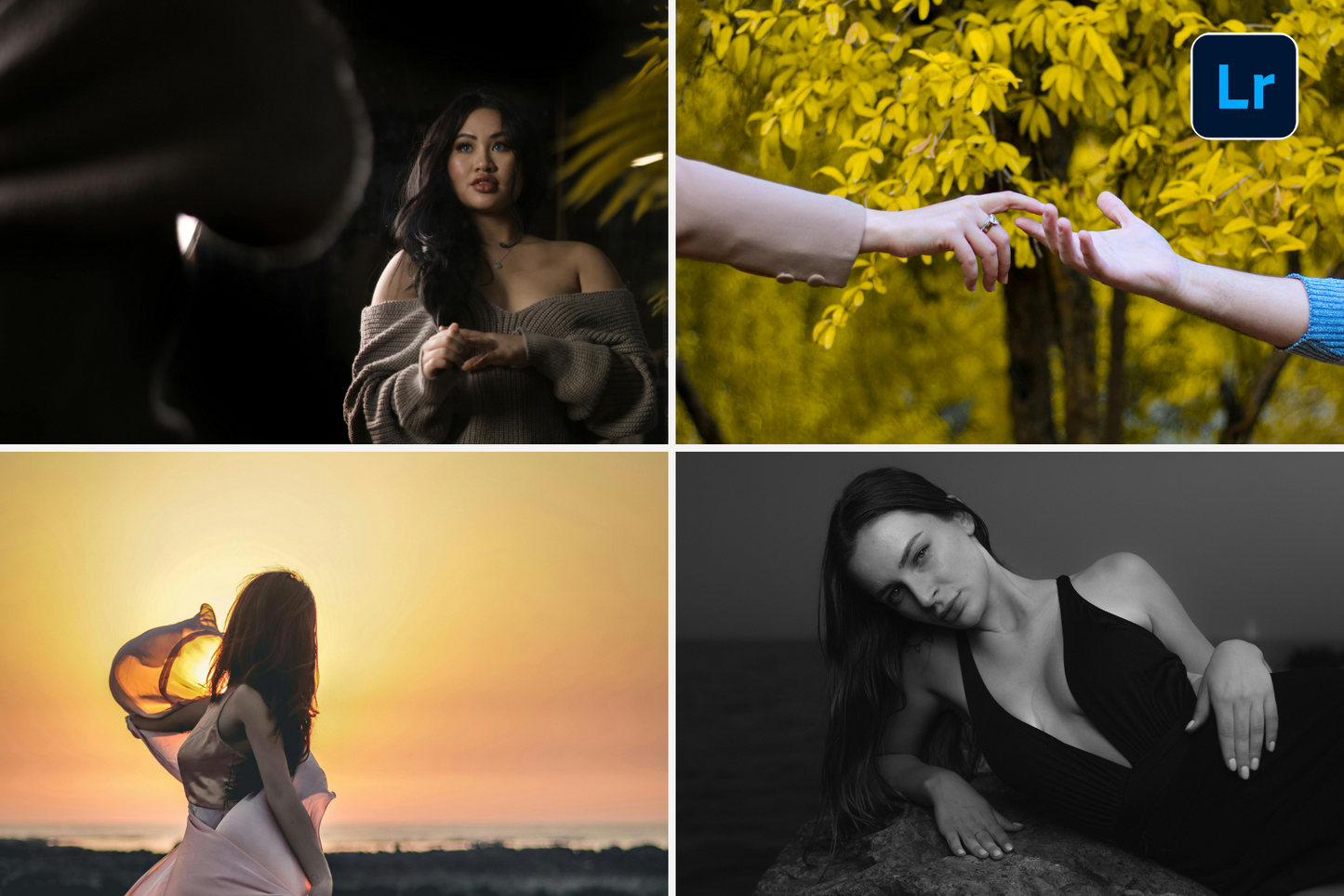 11000+ Advanced Lightroom Presets